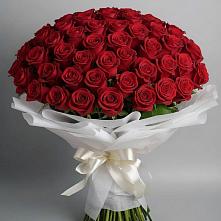 Букет 101 Красная роза Блэк Мэджик в Саблинском