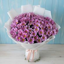 Букет цветов из:  Хризантемы в Саблинском