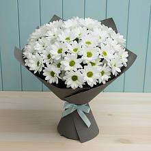 Букет цветов из:  Хризантемы в Саблинском