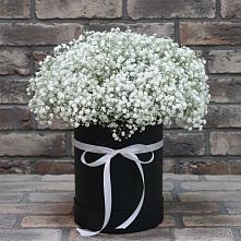Цветочная композиция из Гипсофила в шляпной коробке #REPLACE_PRED# Саблинском