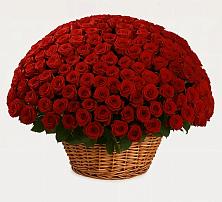 Премиум букет из: Розы в Саблинском